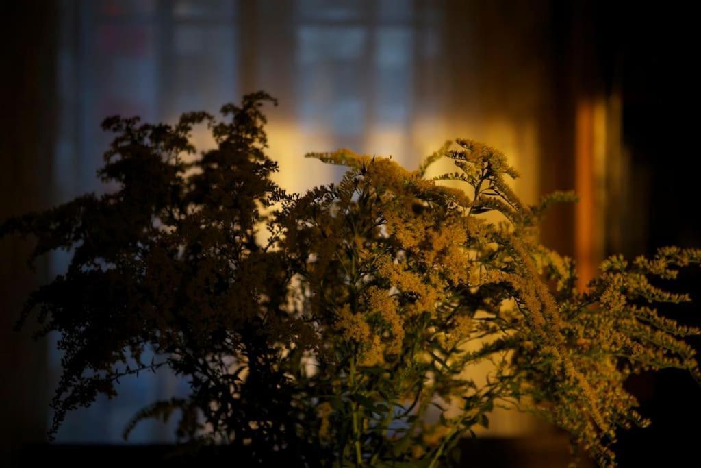 Le Nid De Rochefort Extérieur photo